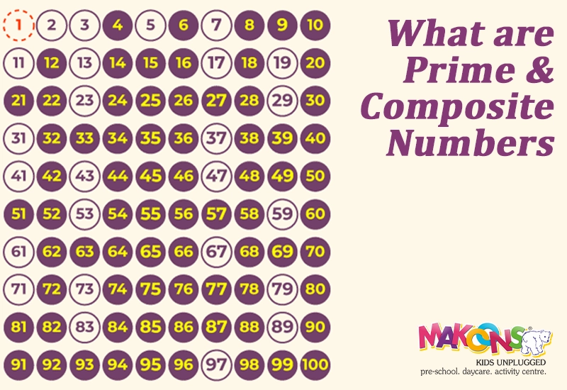 What are Prime & Composite Numbers: A Fun Math Guide for Kids