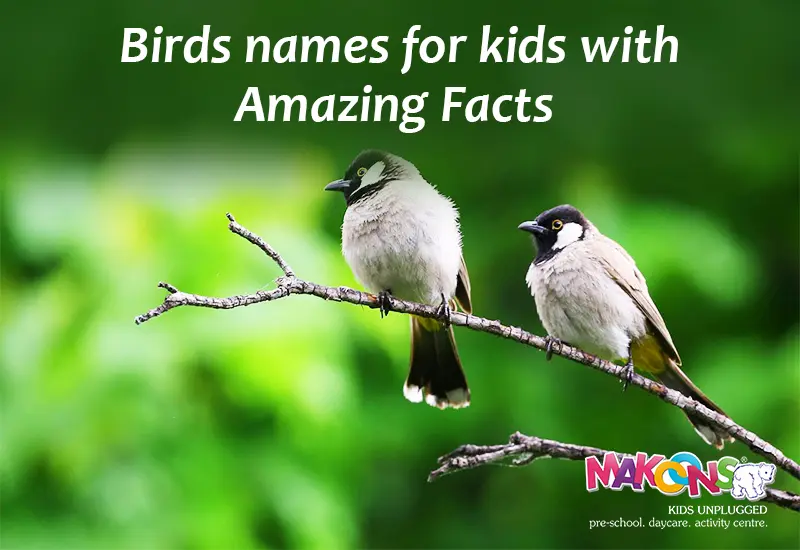 20 Birds Names for Kids with Amazing Facts