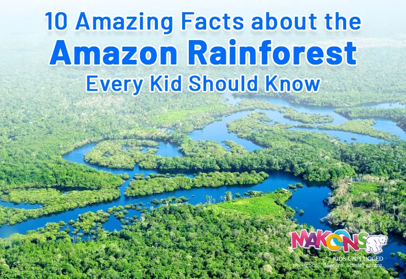 10 Amazing Facts About the Amazon Rainforest Every Kid Should Know