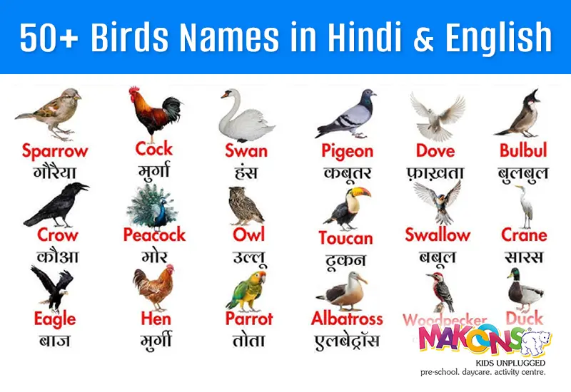 50+ Birds Names in Hindi & English (A–Z List for Kids)