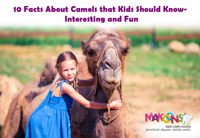 10 Facts About Camels that Kids Should Know- Interesting and Fun