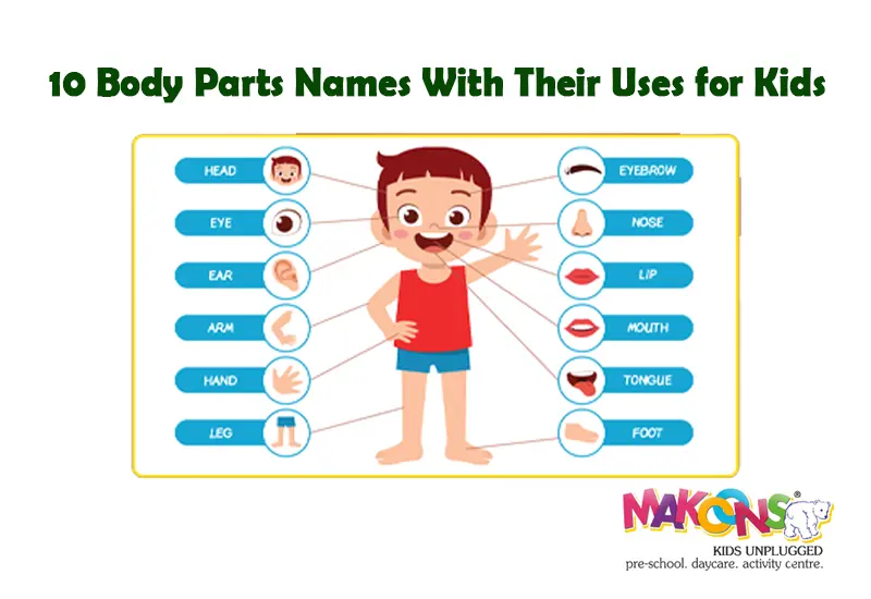 10 Body Parts Names With Their Uses for Kids