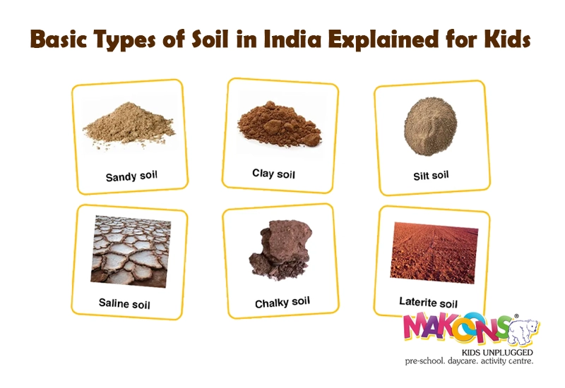 Basic Types of Soil in India Explained for Kids