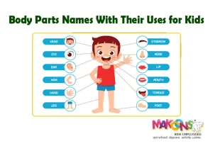 Body Parts Names With Their Uses for Kids